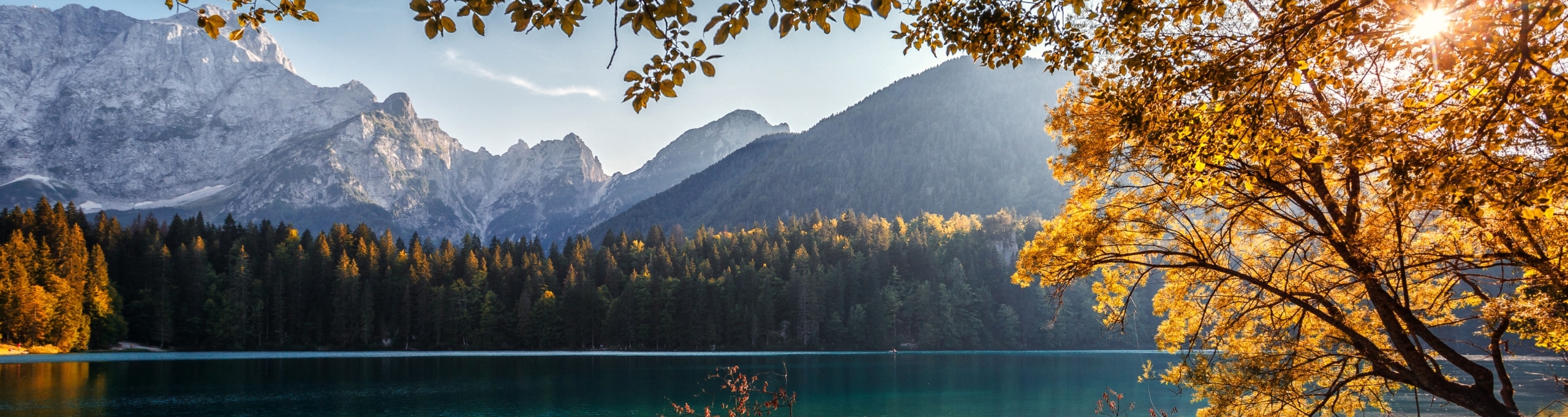 A lake lined with trees and towering mountains in the background. A tree with orange leaves is in the foreground.